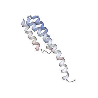 29689_8g38_s_v1-2
Time-resolved cryo-EM study of the 70S recycling by the HflX:3rd Intermediate