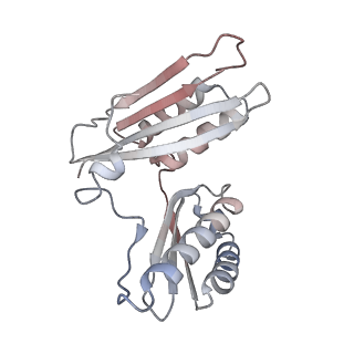 29689_8g38_x_v1-2
Time-resolved cryo-EM study of the 70S recycling by the HflX:3rd Intermediate