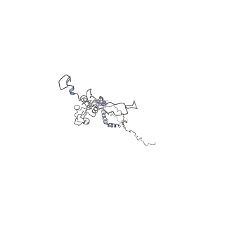 29692_8g3d_0B_v1-0
48-nm doublet microtubule from Tetrahymena thermophila strain K40R