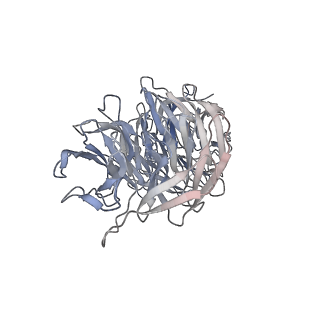 29692_8g3d_0U_v1-0
48-nm doublet microtubule from Tetrahymena thermophila strain K40R