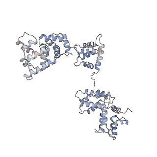 29692_8g3d_1B_v1-0
48-nm doublet microtubule from Tetrahymena thermophila strain K40R