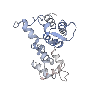 29692_8g3d_1E_v1-0
48-nm doublet microtubule from Tetrahymena thermophila strain K40R