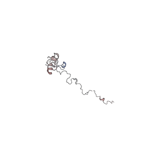 29692_8g3d_1G_v1-0
48-nm doublet microtubule from Tetrahymena thermophila strain K40R