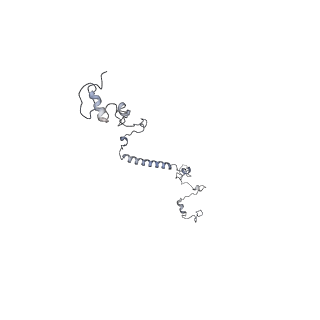 29692_8g3d_1I_v1-0
48-nm doublet microtubule from Tetrahymena thermophila strain K40R