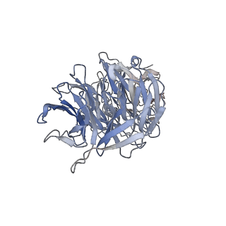 29692_8g3d_1U_v1-0
48-nm doublet microtubule from Tetrahymena thermophila strain K40R