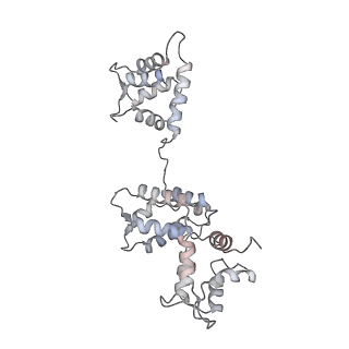 29692_8g3d_2B_v1-0
48-nm doublet microtubule from Tetrahymena thermophila strain K40R