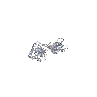 29692_8g3d_2L_v1-0
48-nm doublet microtubule from Tetrahymena thermophila strain K40R