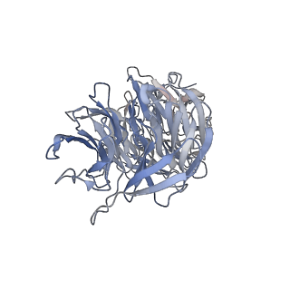 29692_8g3d_2U_v1-0
48-nm doublet microtubule from Tetrahymena thermophila strain K40R
