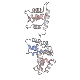 29692_8g3d_3B_v1-0
48-nm doublet microtubule from Tetrahymena thermophila strain K40R
