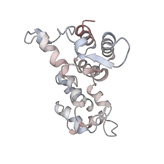 29692_8g3d_3E_v1-0
48-nm doublet microtubule from Tetrahymena thermophila strain K40R