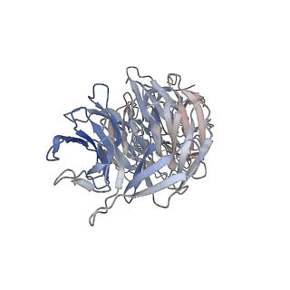 29692_8g3d_3U_v1-0
48-nm doublet microtubule from Tetrahymena thermophila strain K40R