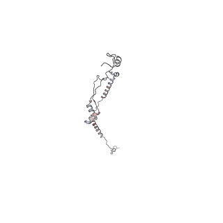 29692_8g3d_5E_v1-0
48-nm doublet microtubule from Tetrahymena thermophila strain K40R