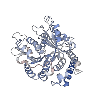29692_8g3d_AG_v1-0
48-nm doublet microtubule from Tetrahymena thermophila strain K40R