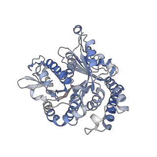29692_8g3d_AH_v1-0
48-nm doublet microtubule from Tetrahymena thermophila strain K40R