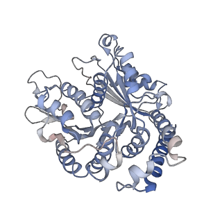 29692_8g3d_AI_v1-0
48-nm doublet microtubule from Tetrahymena thermophila strain K40R