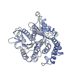 29692_8g3d_AJ_v1-0
48-nm doublet microtubule from Tetrahymena thermophila strain K40R