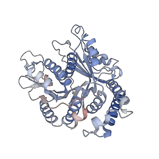 29692_8g3d_AK_v1-0
48-nm doublet microtubule from Tetrahymena thermophila strain K40R