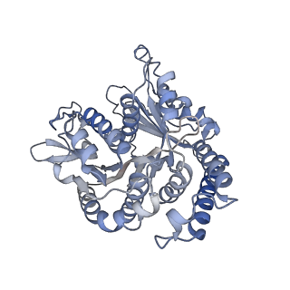 29692_8g3d_AL_v1-0
48-nm doublet microtubule from Tetrahymena thermophila strain K40R