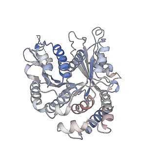 29692_8g3d_BA_v1-0
48-nm doublet microtubule from Tetrahymena thermophila strain K40R