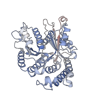 29692_8g3d_BG_v1-0
48-nm doublet microtubule from Tetrahymena thermophila strain K40R