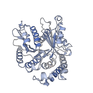 29692_8g3d_BI_v1-0
48-nm doublet microtubule from Tetrahymena thermophila strain K40R