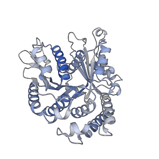 29692_8g3d_BK_v1-0
48-nm doublet microtubule from Tetrahymena thermophila strain K40R