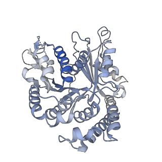 29692_8g3d_BM_v1-0
48-nm doublet microtubule from Tetrahymena thermophila strain K40R