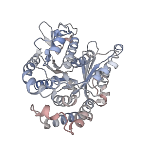 29692_8g3d_CB_v1-0
48-nm doublet microtubule from Tetrahymena thermophila strain K40R