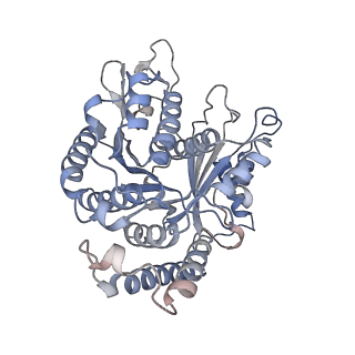 29692_8g3d_CC_v1-0
48-nm doublet microtubule from Tetrahymena thermophila strain K40R