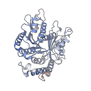 29692_8g3d_CG_v1-0
48-nm doublet microtubule from Tetrahymena thermophila strain K40R