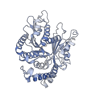 29692_8g3d_CI_v1-0
48-nm doublet microtubule from Tetrahymena thermophila strain K40R