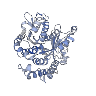 29692_8g3d_CJ_v1-0
48-nm doublet microtubule from Tetrahymena thermophila strain K40R