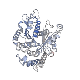 29692_8g3d_CM_v1-0
48-nm doublet microtubule from Tetrahymena thermophila strain K40R