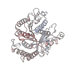 29692_8g3d_DA_v1-0
48-nm doublet microtubule from Tetrahymena thermophila strain K40R