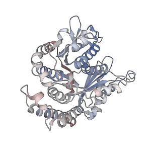 29692_8g3d_DB_v1-0
48-nm doublet microtubule from Tetrahymena thermophila strain K40R