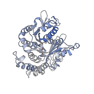 29692_8g3d_DD_v1-0
48-nm doublet microtubule from Tetrahymena thermophila strain K40R