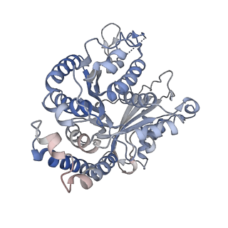 29692_8g3d_DE_v1-0
48-nm doublet microtubule from Tetrahymena thermophila strain K40R
