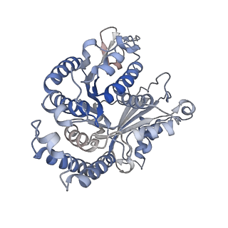 29692_8g3d_DG_v1-0
48-nm doublet microtubule from Tetrahymena thermophila strain K40R
