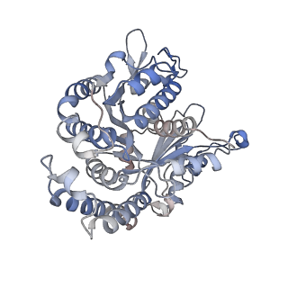 29692_8g3d_DJ_v1-0
48-nm doublet microtubule from Tetrahymena thermophila strain K40R