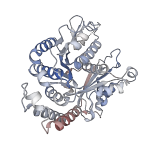 29692_8g3d_DM_v1-0
48-nm doublet microtubule from Tetrahymena thermophila strain K40R