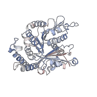 29692_8g3d_EC_v1-0
48-nm doublet microtubule from Tetrahymena thermophila strain K40R