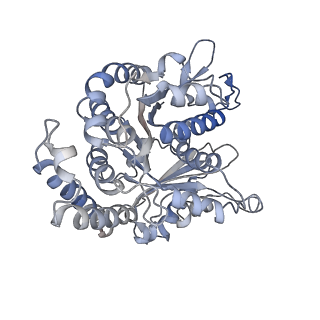 29692_8g3d_ED_v1-0
48-nm doublet microtubule from Tetrahymena thermophila strain K40R