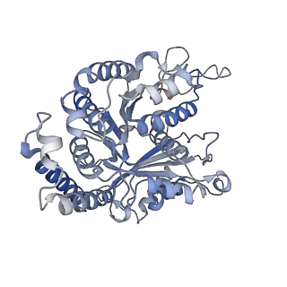 29692_8g3d_EG_v1-0
48-nm doublet microtubule from Tetrahymena thermophila strain K40R