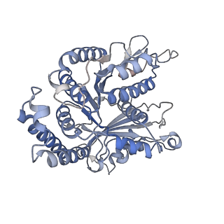 29692_8g3d_EI_v1-0
48-nm doublet microtubule from Tetrahymena thermophila strain K40R