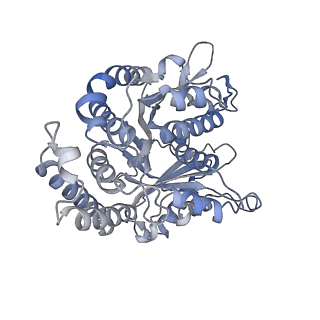 29692_8g3d_EJ_v1-0
48-nm doublet microtubule from Tetrahymena thermophila strain K40R