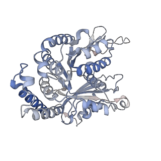 29692_8g3d_EK_v1-0
48-nm doublet microtubule from Tetrahymena thermophila strain K40R