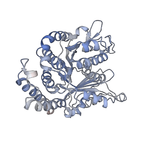 29692_8g3d_EL_v1-0
48-nm doublet microtubule from Tetrahymena thermophila strain K40R