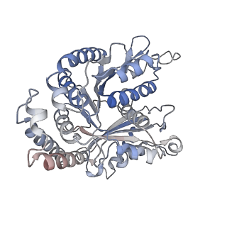29692_8g3d_EM_v1-0
48-nm doublet microtubule from Tetrahymena thermophila strain K40R