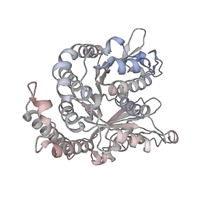29692_8g3d_EN_v1-0
48-nm doublet microtubule from Tetrahymena thermophila strain K40R