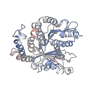 29692_8g3d_FA_v1-0
48-nm doublet microtubule from Tetrahymena thermophila strain K40R
